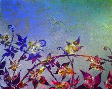 Schattenranken SILHOUISMUS 60x40cm 2007